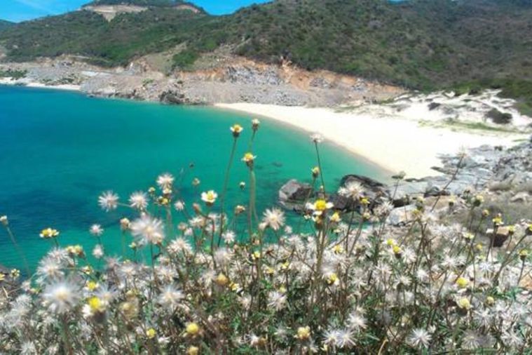 Đảo Bình Hưng - Nha Trang